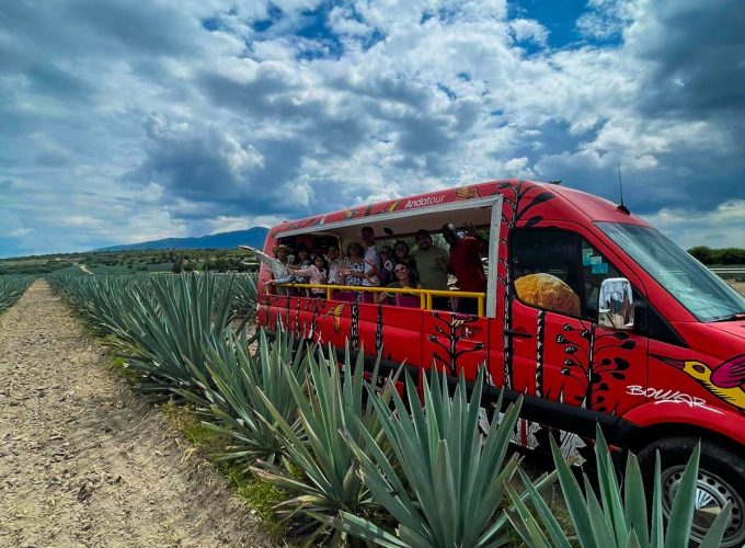 Voces del mezcal